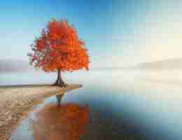 什‍么‌叫‍专‍业﻿术﻿语‌